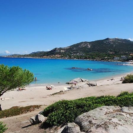 L'orangeraie Calvi centre à 300m de la plage et du port parking privé Calvi (Corsica) Exterior foto
