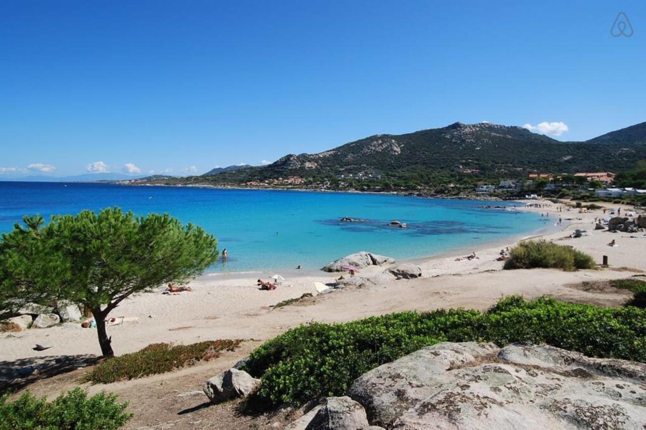 L'orangeraie Calvi centre à 300m de la plage et du port parking privé Calvi (Corsica) Exterior foto